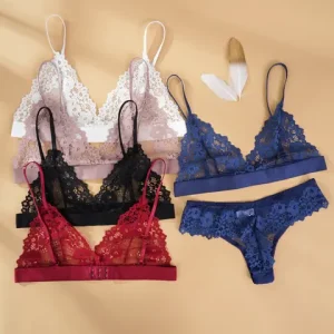 sexxy Lace Bra Sets Summer Women s Ultra thin Lingerie Suit Brief Transparent No Wire Bra Breathable Intimate Underwear Exotic Bangladesh (New)