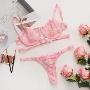 sexxy Lingerie Woman Lace Transparent Underwear Fairy Embroidery Brief Sets Delicate Bra Kit Push Up Breves Sets Thin Erotic Bras Bangladesh (New)